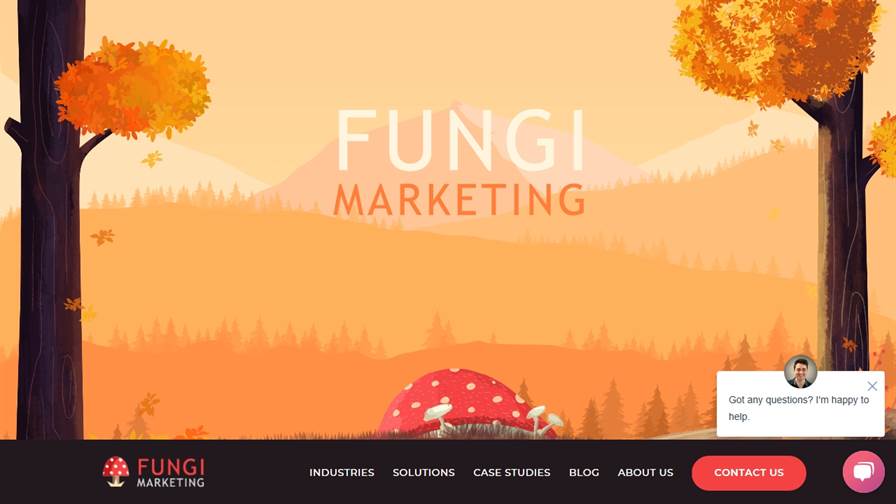 Fungi Marketing