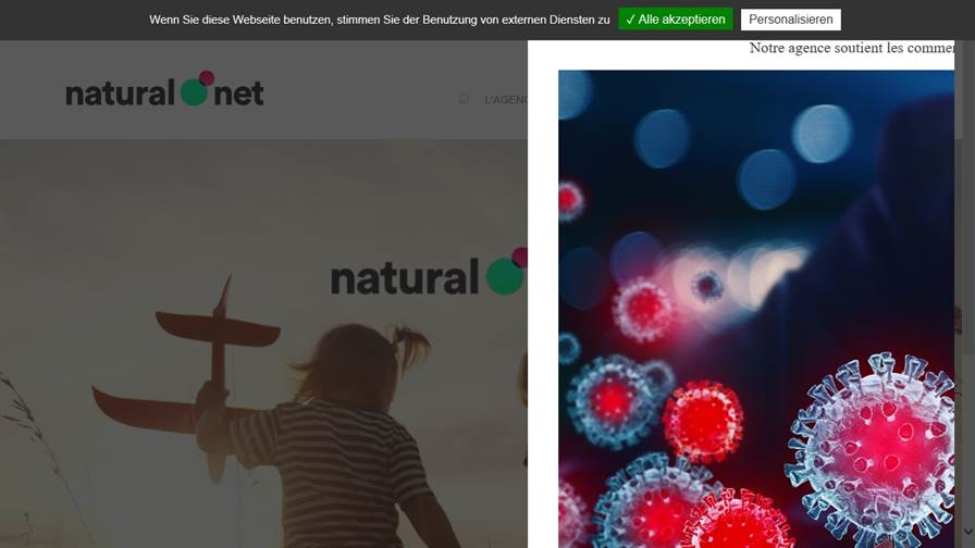 Agence web Bordeaux, agence webmarketing et SEO - Natural-net