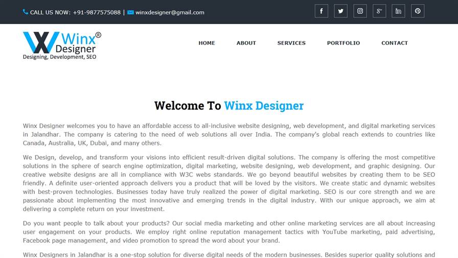 Website Designer in Punjab